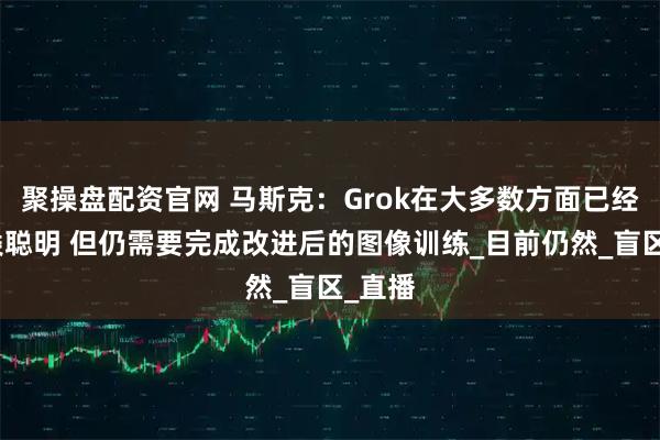 聚操盘配资官网 马斯克：Grok在大多数方面已经比人类聪明 但仍需要完成改进后的图像训练_目前仍然_盲区_直播