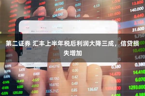 第二证券 汇丰上半年税后利润大降三成，信贷损失增加
