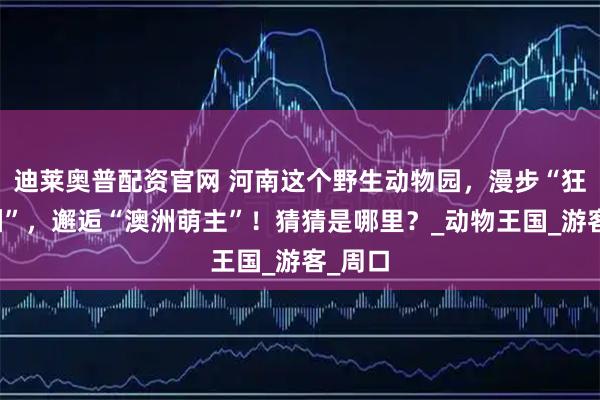 迪莱奥普配资官网 河南这个野生动物园，漫步“狂野非洲”，邂逅“澳洲萌主”！猜猜是哪里？_动物王国_游客_周口