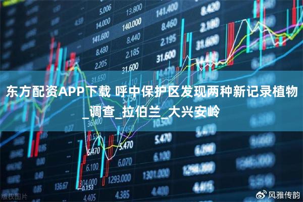 东方配资APP下载 呼中保护区发现两种新记录植物_调查_拉伯兰_大兴安岭