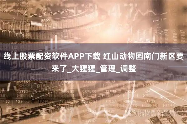 线上股票配资软件APP下载 红山动物园南门新区要来了_大猩猩_管理_调整