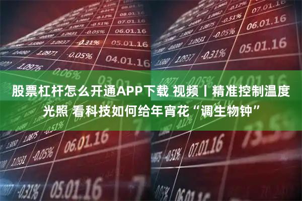 股票杠杆怎么开通APP下载 视频丨精准控制温度光照 看科技如何给年宵花“调生物钟”